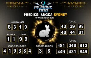 prediksi sdy 19-11-22