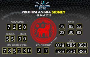 prediksi sdy 08-05-23
