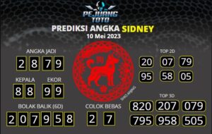 prediksi sdy 10-05-23