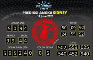 prediksi sdy 11-06-23