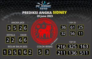 prediksi sdy 20-06-23