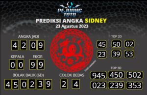 prediksi sdy 23-08-23